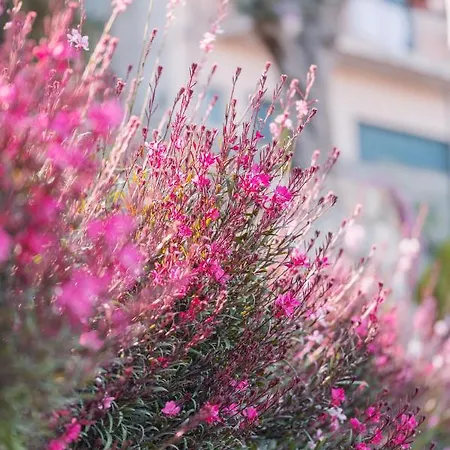 The View Luxury Apartmán Taormina